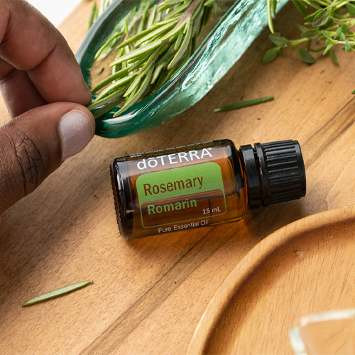 Rosemary Oil Uses and Benefits doTERRA Essential Oils