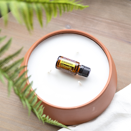 Citronella Oil Uses and Benefits doTERRA Essential Oils
