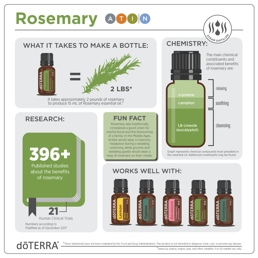 Rosemary Oil D TERRA Essential Oils