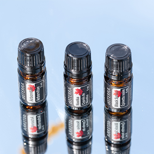 Celebrating the Gifts of Home—doTERRA Canada Collection | doTERRA