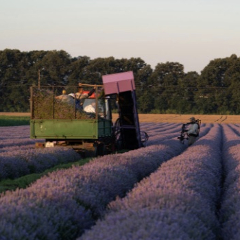 Eric Harada LLC profile picture