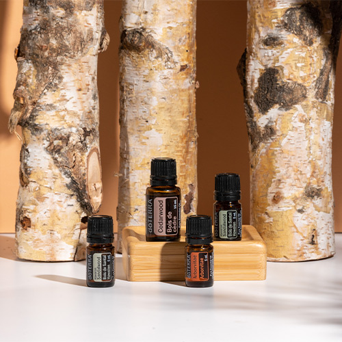 Oil Origins: Welcome the Woods | doTERRA Essential Oils