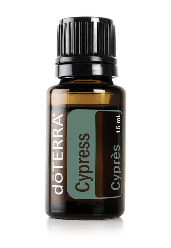 Cypress Essential Oil