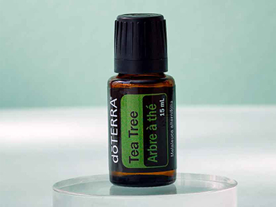 Tea Tree Essential Oil Mobile