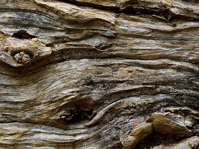 Siam Wood