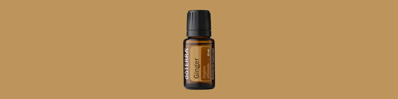 Ginger Essential Oil