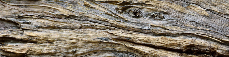 Siam Wood