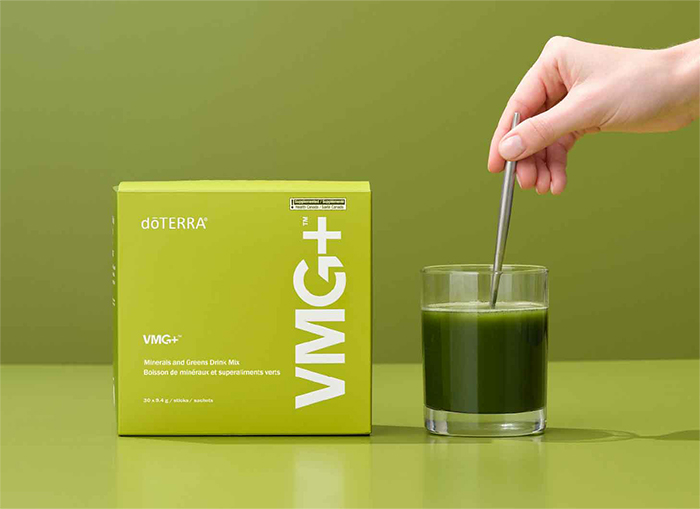 VMG Benefits Mobile