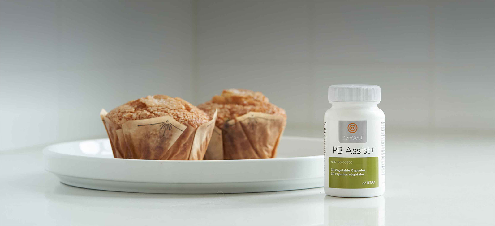 PB Assist NHP Header Desktop