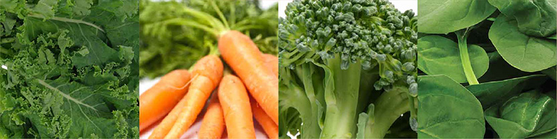 Vegetables - VMG Ingredients Desktop