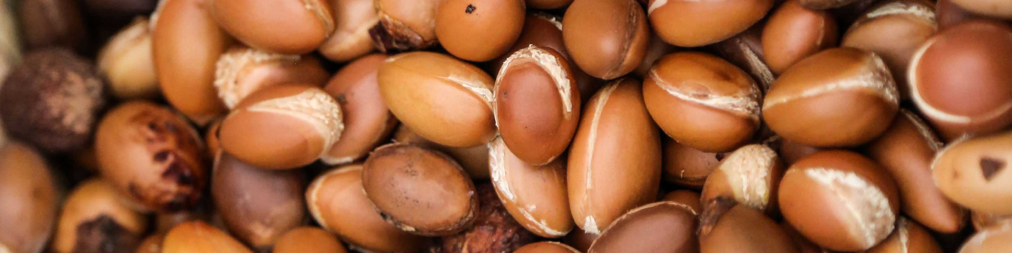 Argan seeds