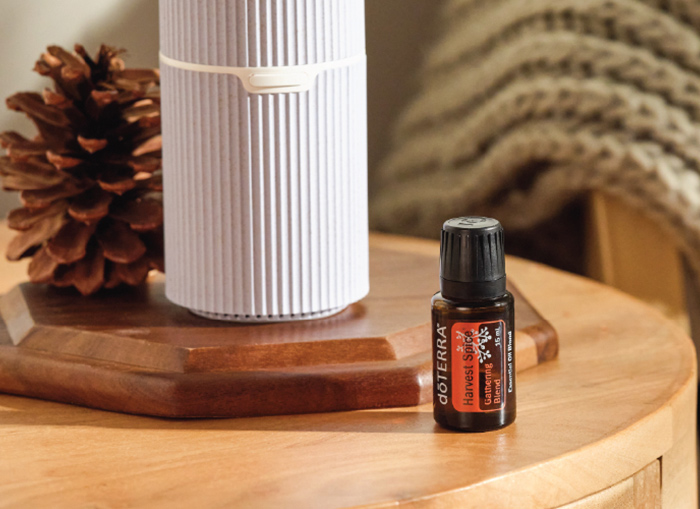 Harvest Spice oil and Pilot Diffuser Image