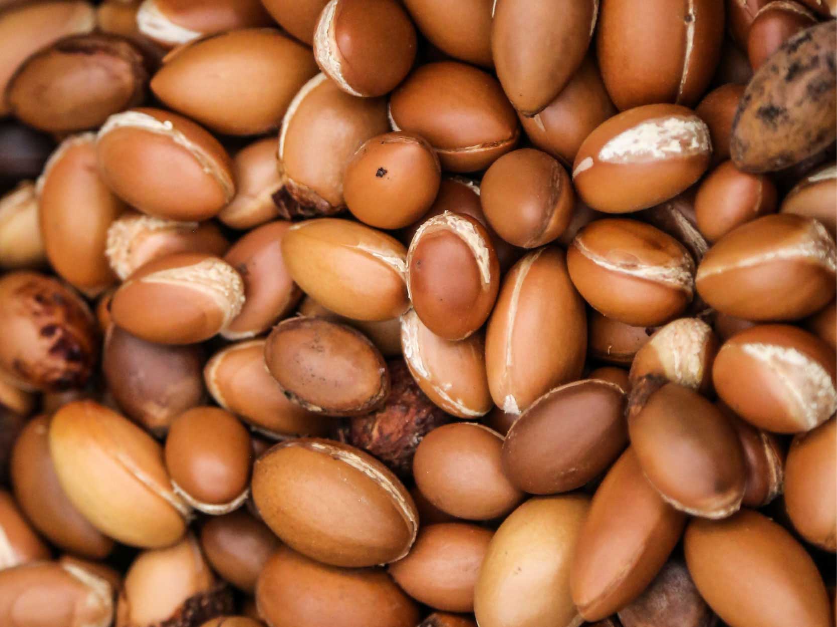 Argan seeds