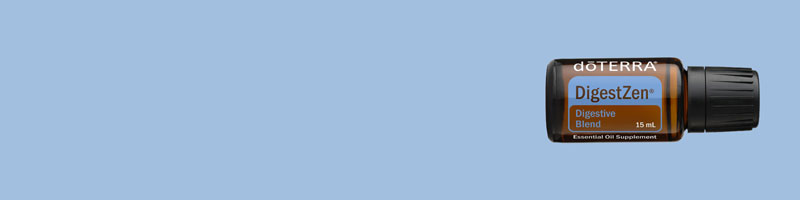 800x200-digesttab-ingredient-digestzen.jpg