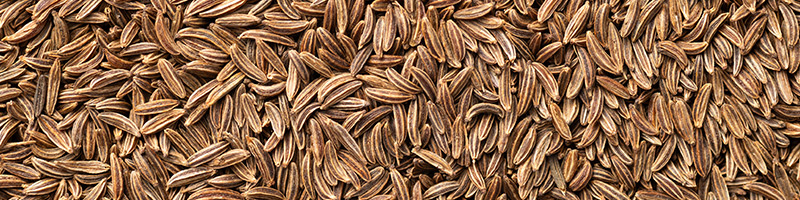 Cumin 