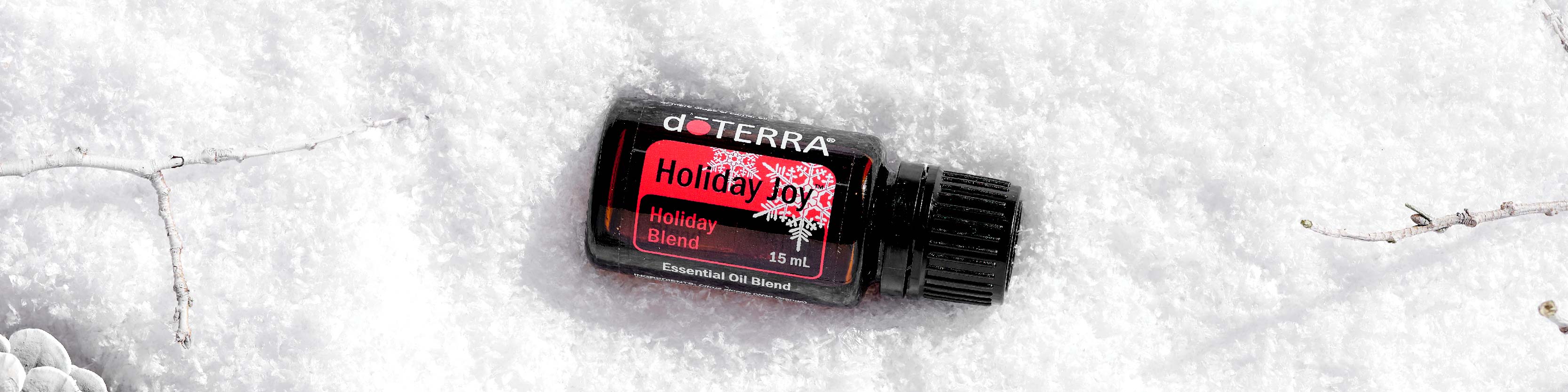 Holiday Bundle Product Page_Ingredients_Desktop-02.jpg