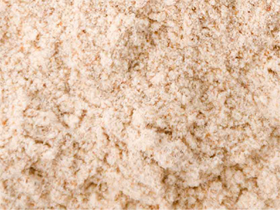 Medicinal Ingredients - TerraZyme NHP Ingredients Mobile