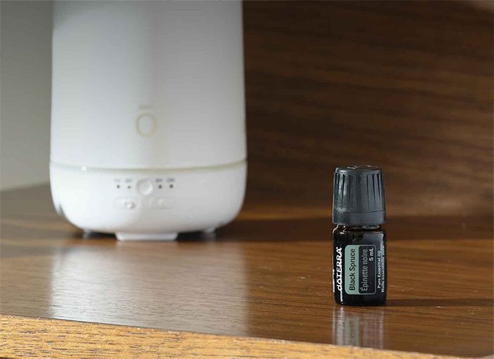 Black Spruce Essential Oil Header Mobile