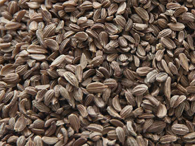 Carrot Seed Oil - ClaryCalm Oil Ingredient Mobile