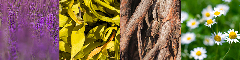 800x200-calmer-ingredients.jpg