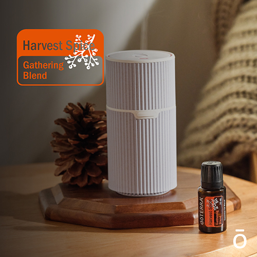The Return of Harvest Spice | doTERRA Essential Oils