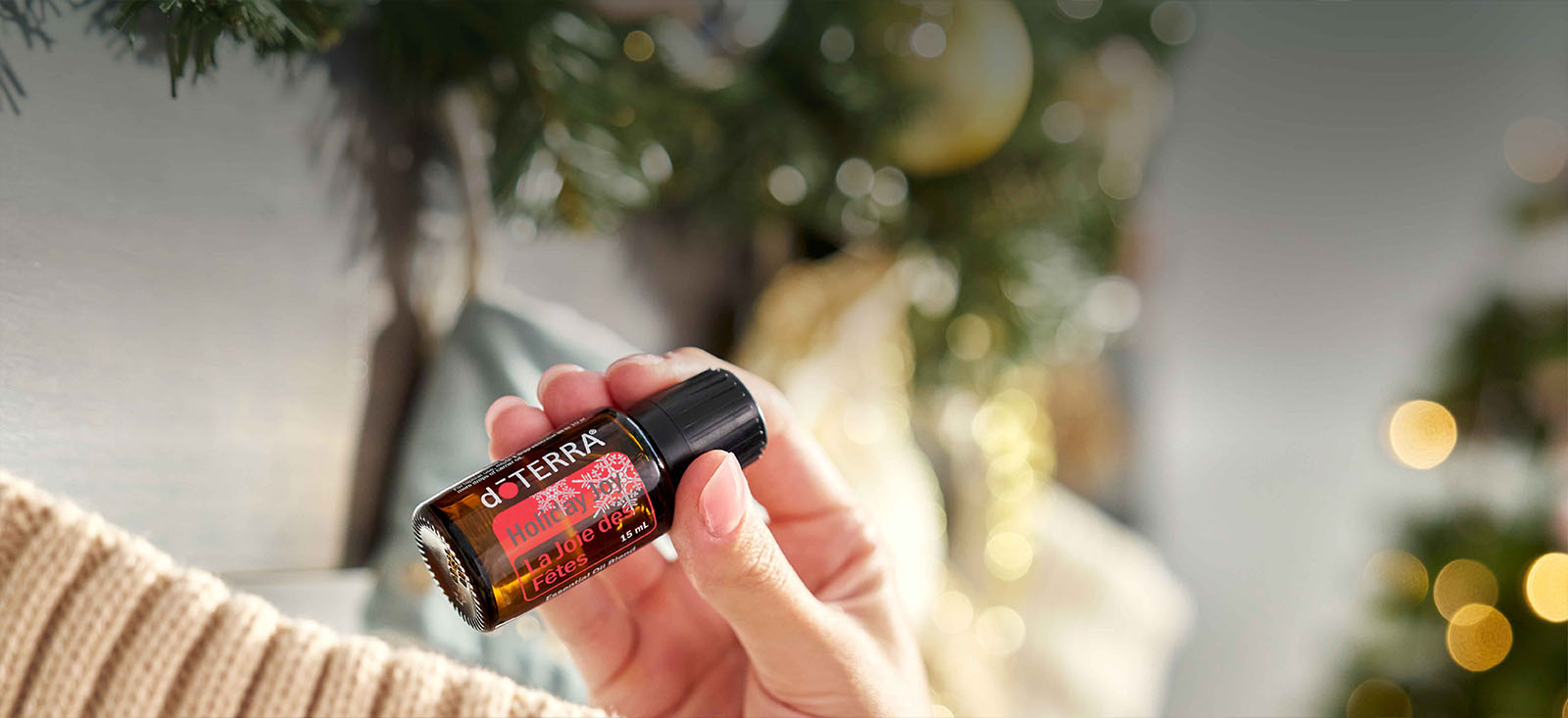 Holiday Joy - Header Desktop