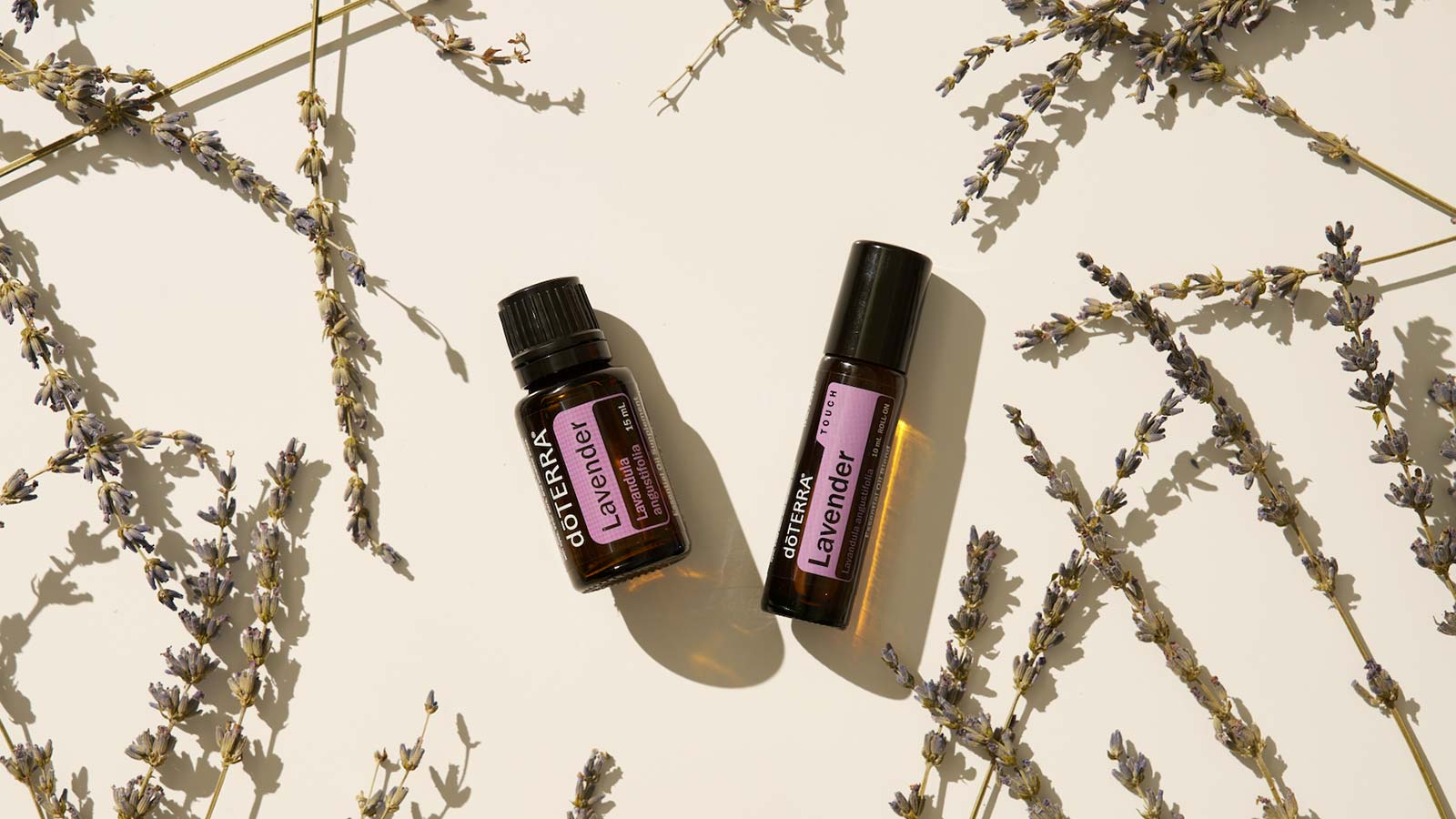 Lavender and Lavender Touch