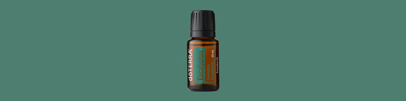 Eucalyptus Essential Oil