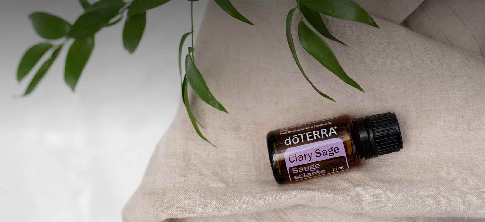 Clary Sage Oil Essential Oil NHP Header Desktop