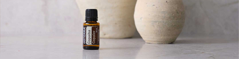 Copaiba Oil 15mL Desktop