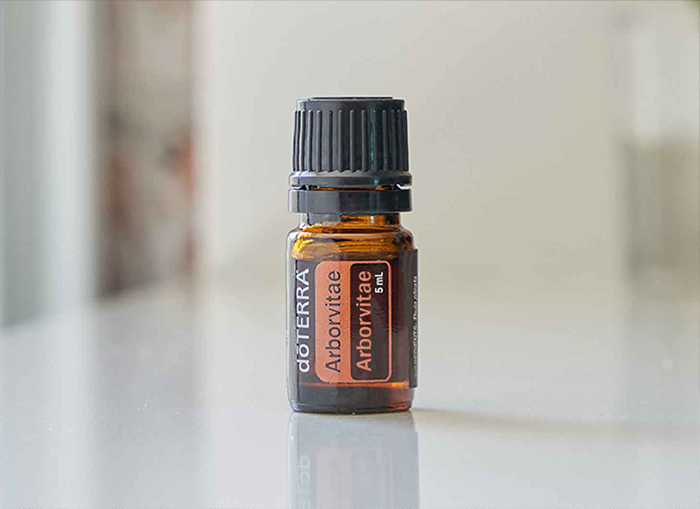 Arborvitae Essential Oil Benefits Mobile