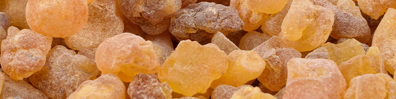 800x200-summer-refresh-bogo-bundle-frankincense-ingredient.jpg