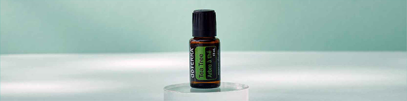 Tea Tree Essential Oil Desktop