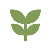 Rosemary Oil Right Icon