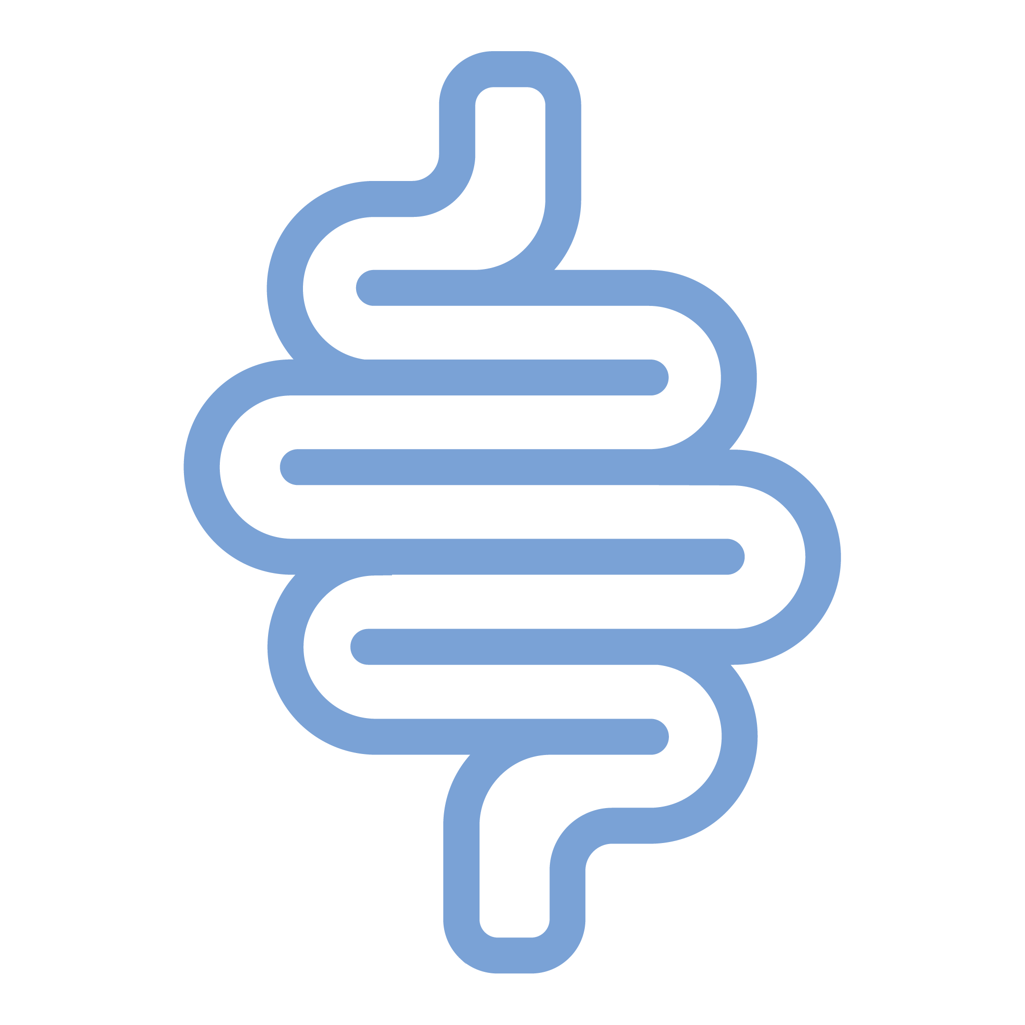Digestive health icon