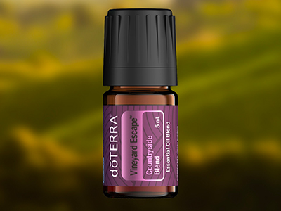 Vineyard Escape oil
