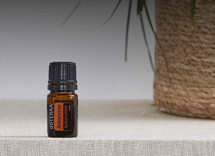 Arborvitae Essential Oil Header Mobile