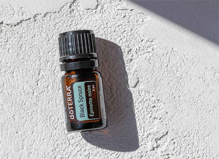Black Spruce Essential Oil Uses Mobile