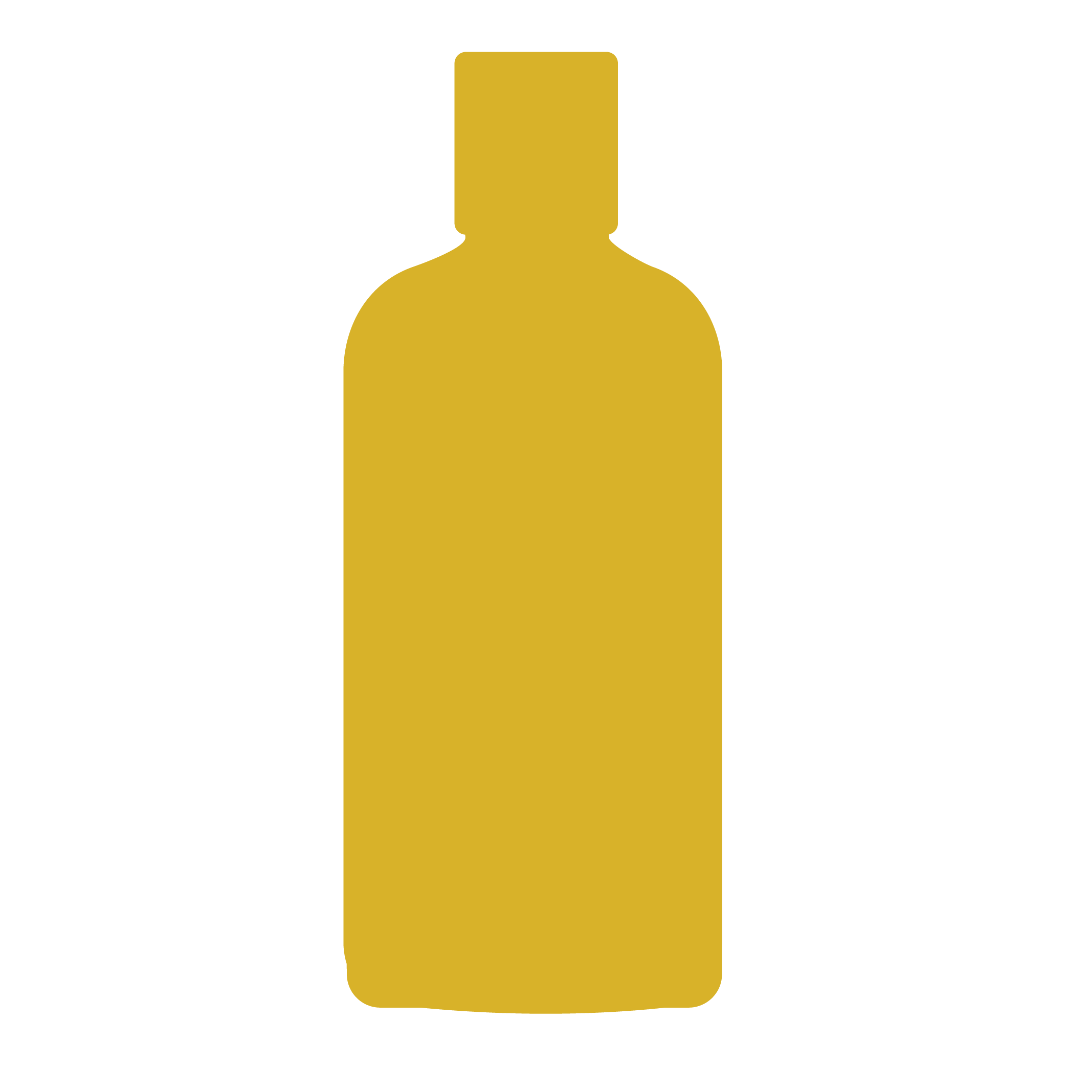 Body Wash icon