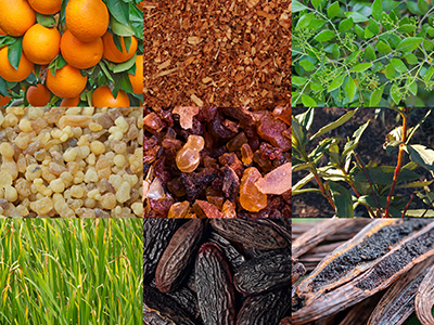 Hygge Ingredients Image