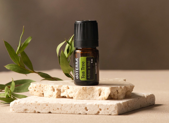 Tea Tree