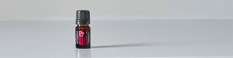 Holiday Love Desktop