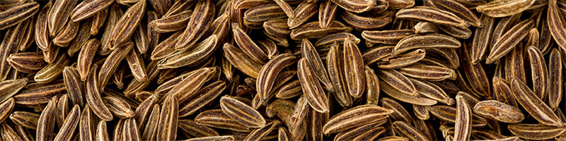 Caraway Oil - ZenGest Oil Blend Ingredients List Desktop