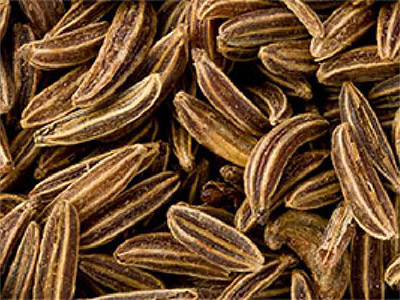 Caraway Oil - ZenGest Oil Blend Ingredients List Mobile