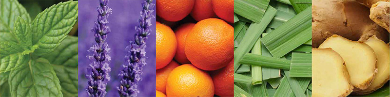 CPTG Essential oils - VMG Ingredients Desktop