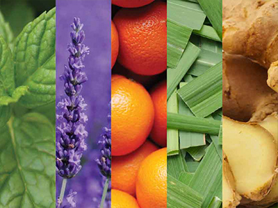 CPTG Essential oils - VMG Ingredients Mobile