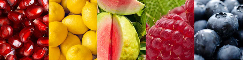 Fruits - VMG Ingredients Desktop