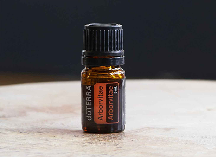 Arborvitae Essential Oil Uses Mobile