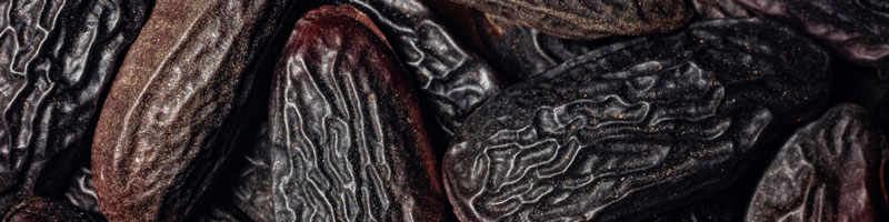 800x200-ingredient-tonka-bean.jpg