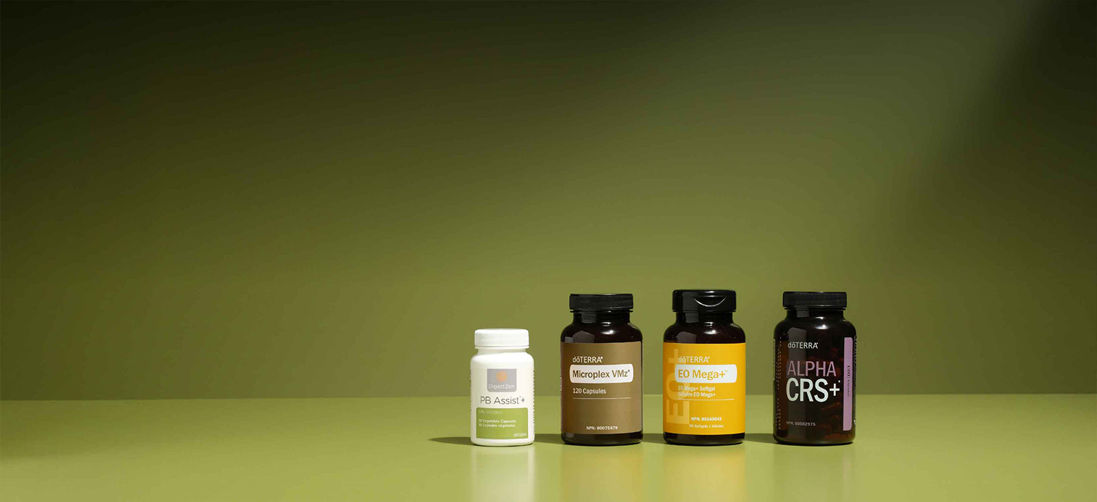 Foundational Wellness Bundle Normal Header Desktop